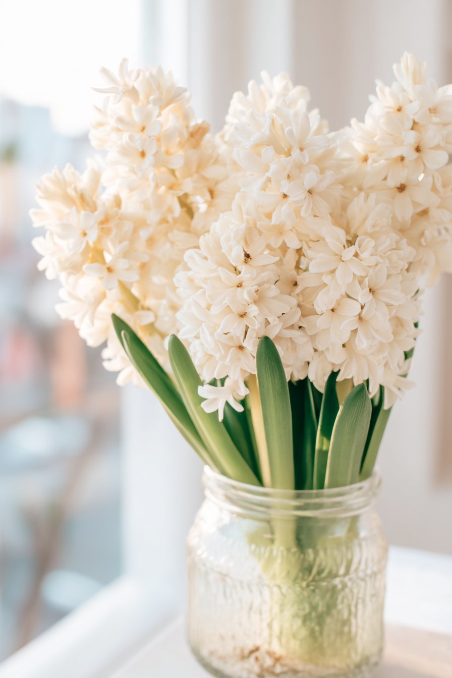 Altes Einmachglas mit weißer Hyazinthe als Frühlingsdeko